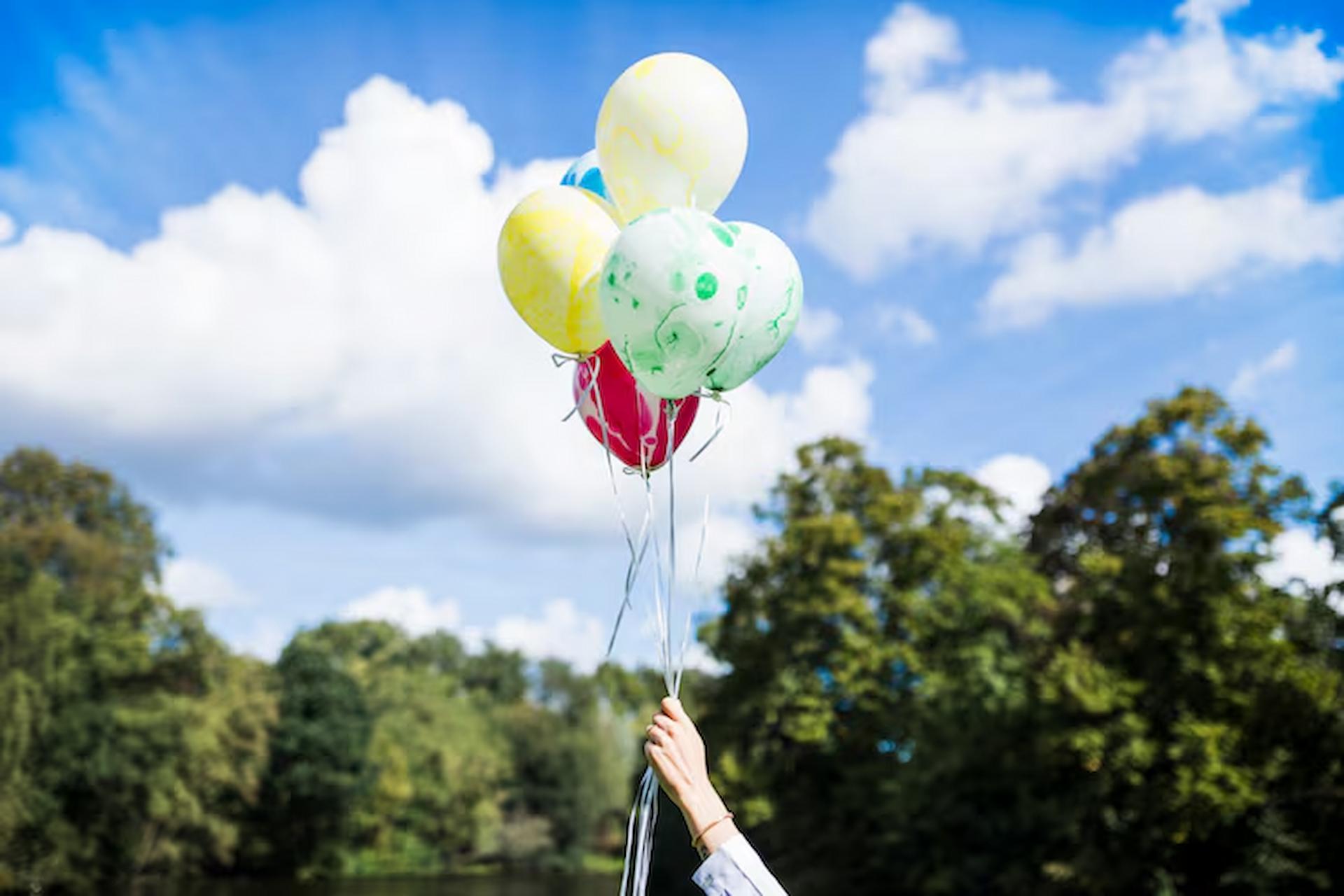 Inflatable Parade Balloons